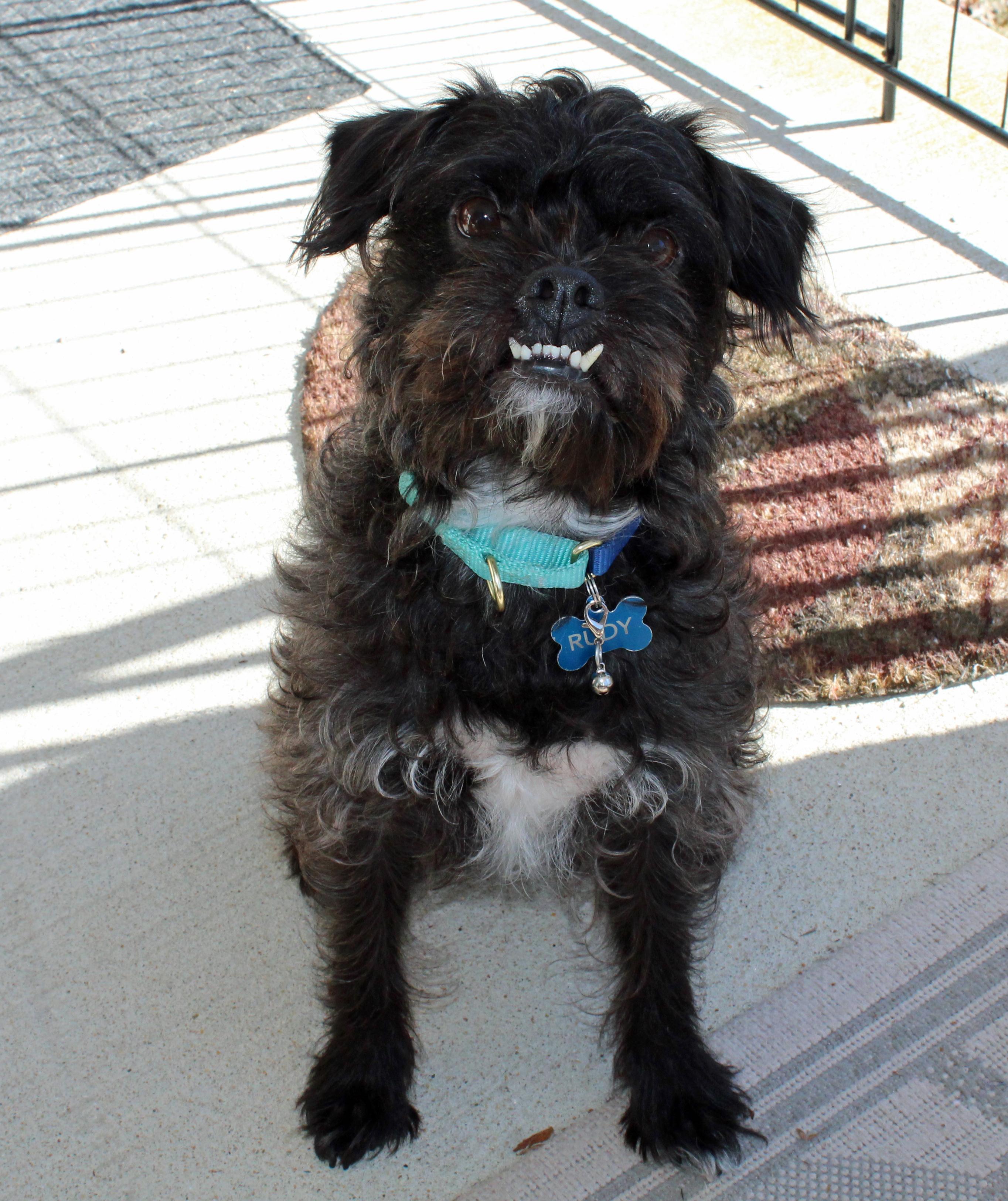 Pepper