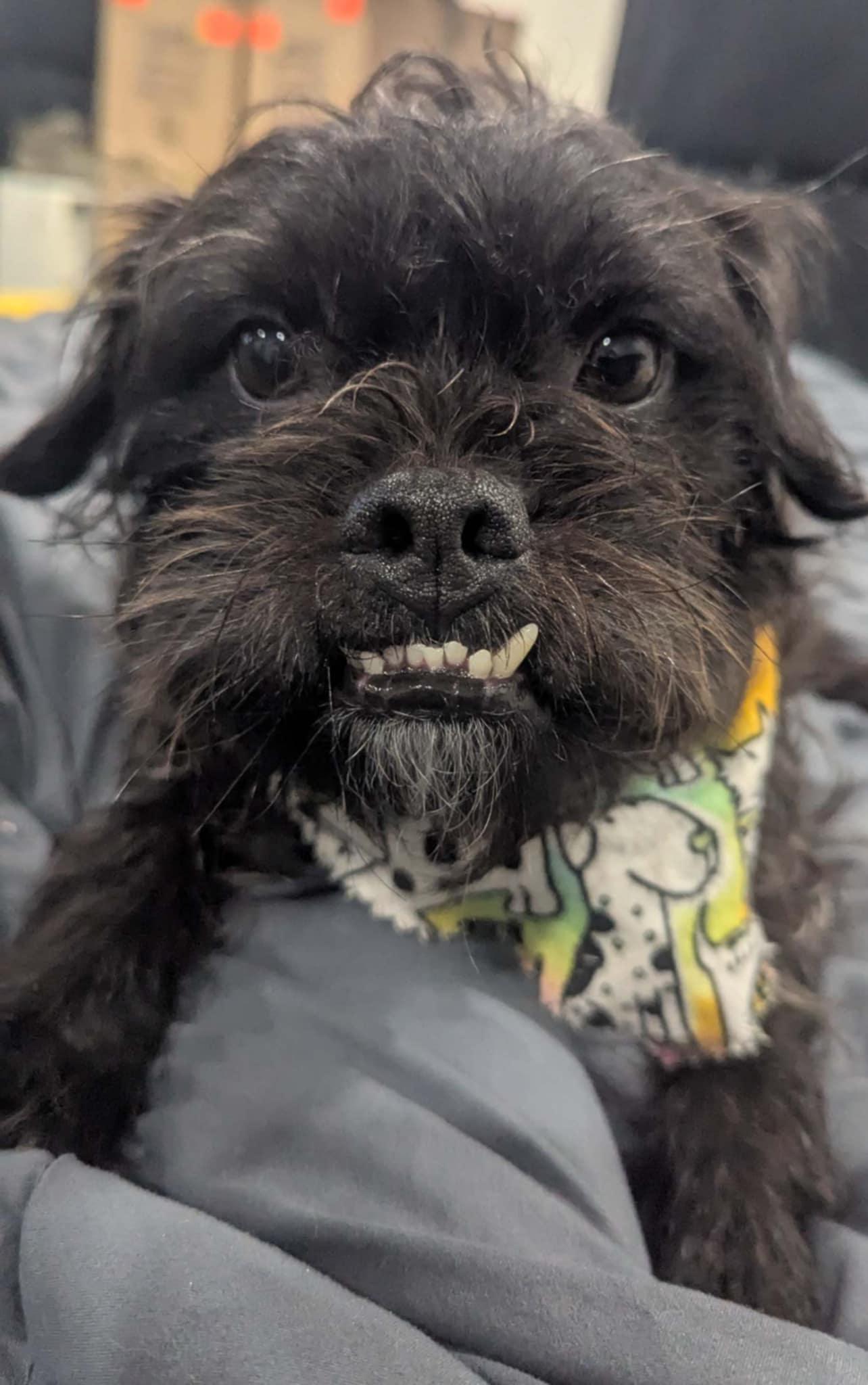 Pepper