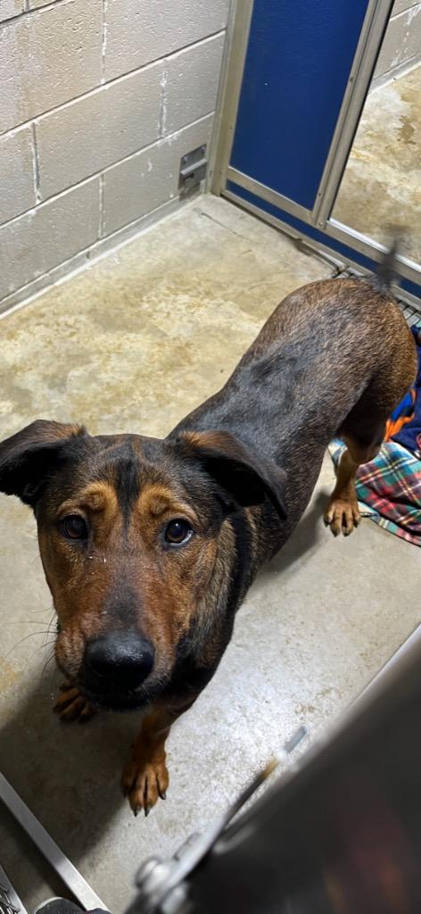 Bernadette thumbnail 2