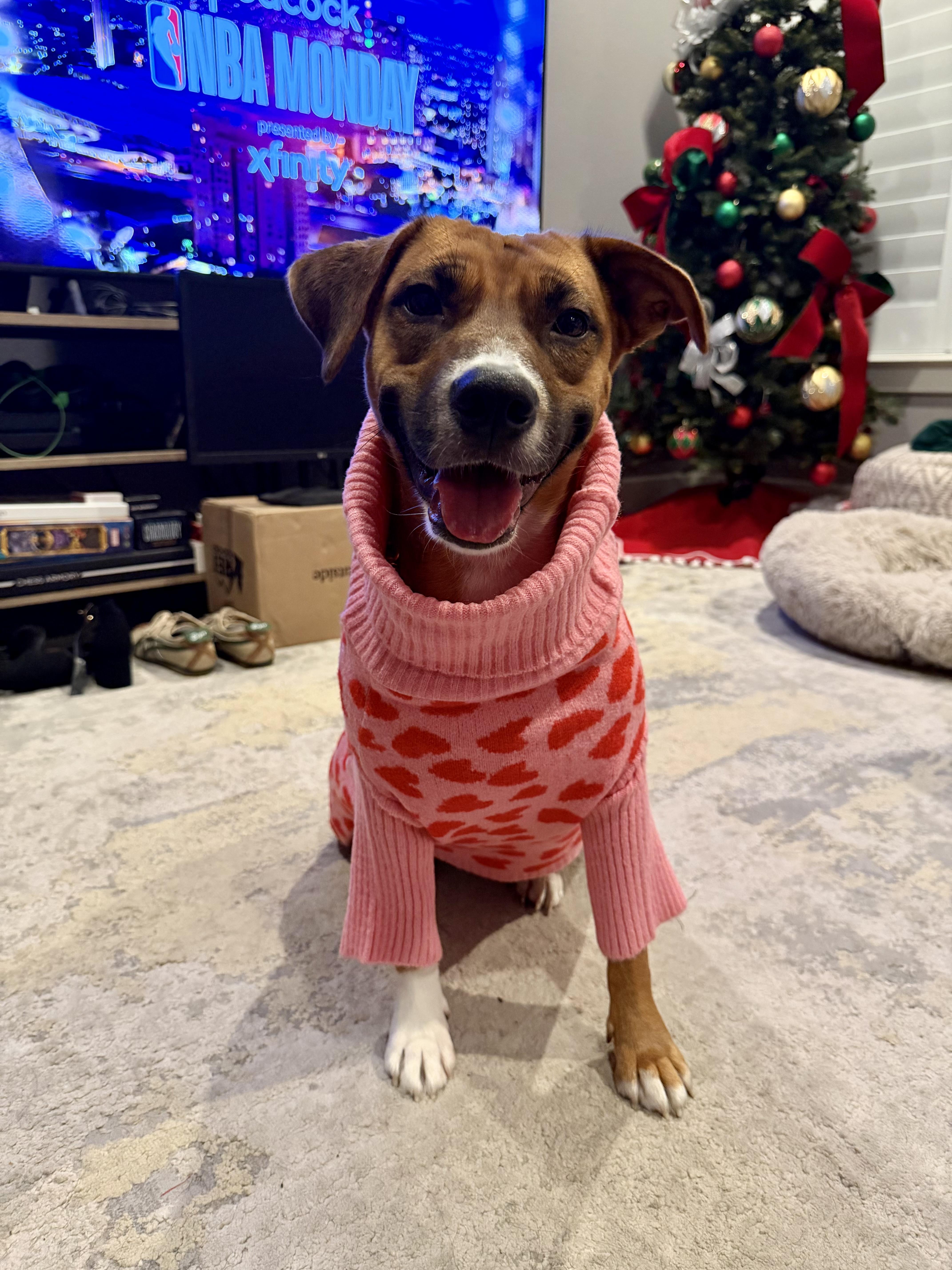 Rosie — thumbnail 5