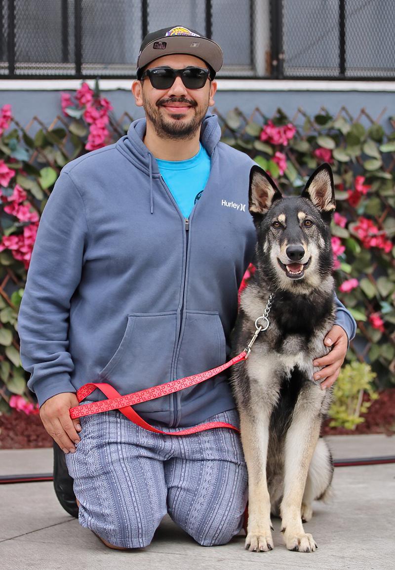 Gunner von Gusten", a Adoptable mixed breed in Los Angeles, CA image 4/6
