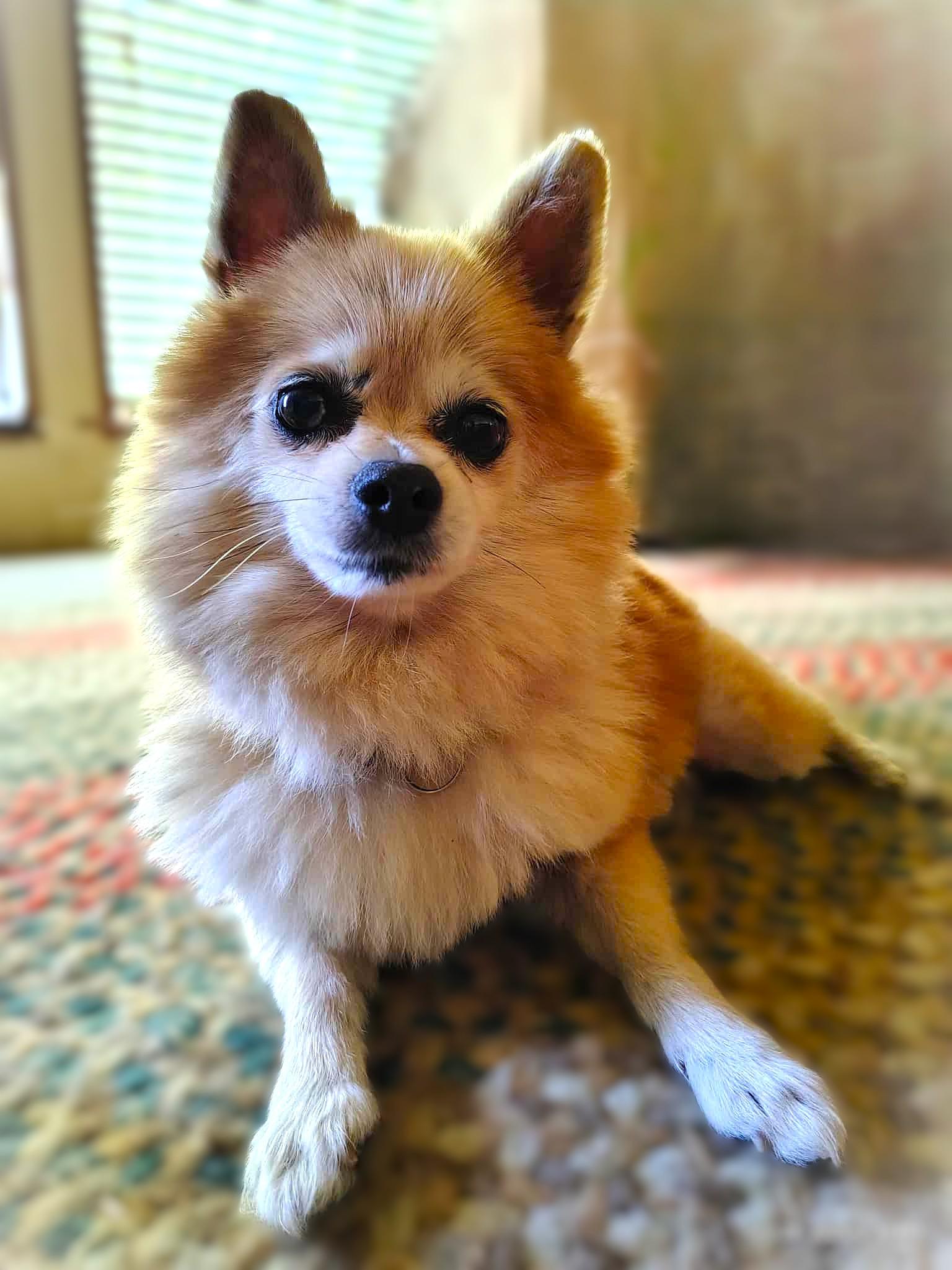 TATER TOT