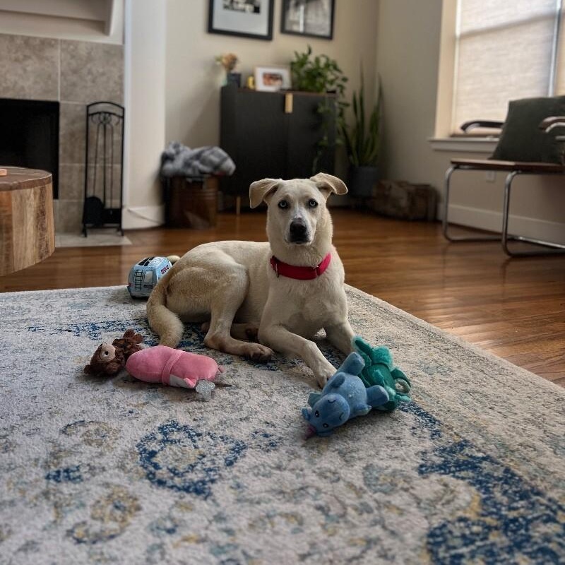 Rory right on time tv watching family girl