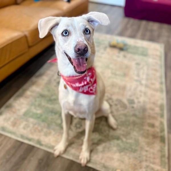 Rory right on time tv watching family girl — thumbnail 2