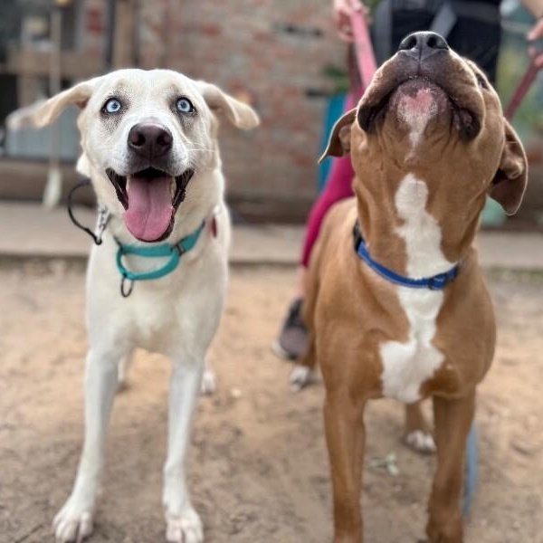 Rory right on time tv watching family girl — thumbnail 3