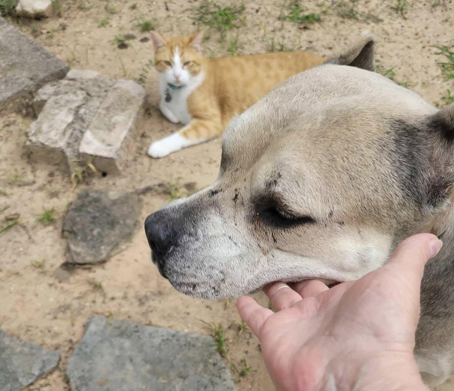 Athena AB — thumbnail 2