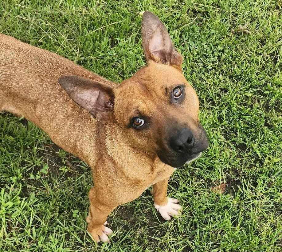 Tito