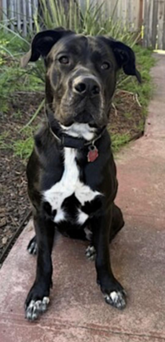 Storm — thumbnail 5