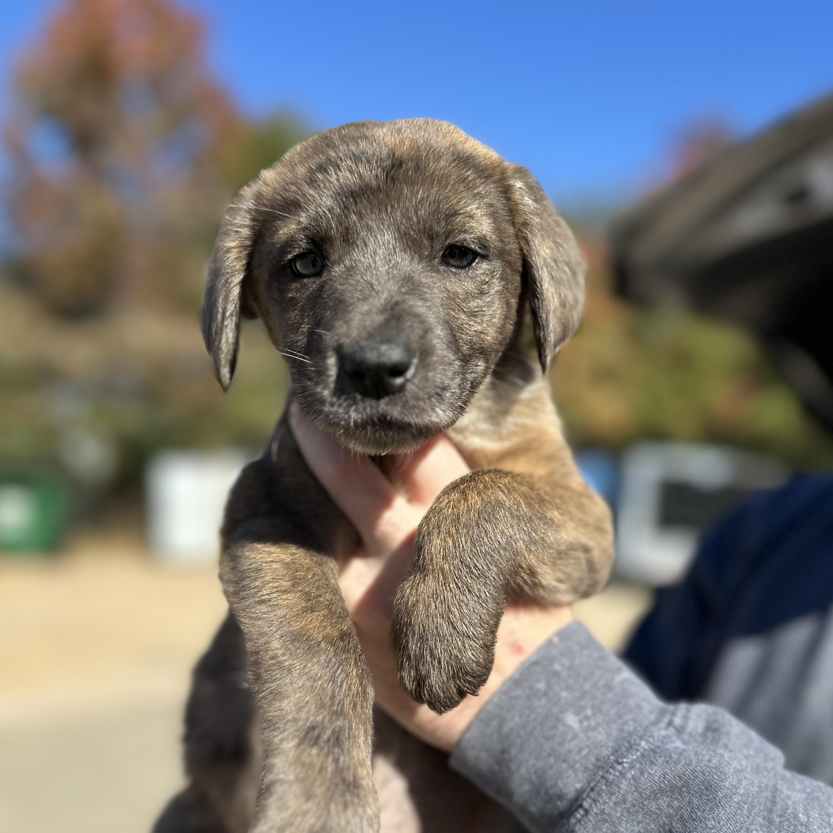 Eat a Whole Bunch of Stuff