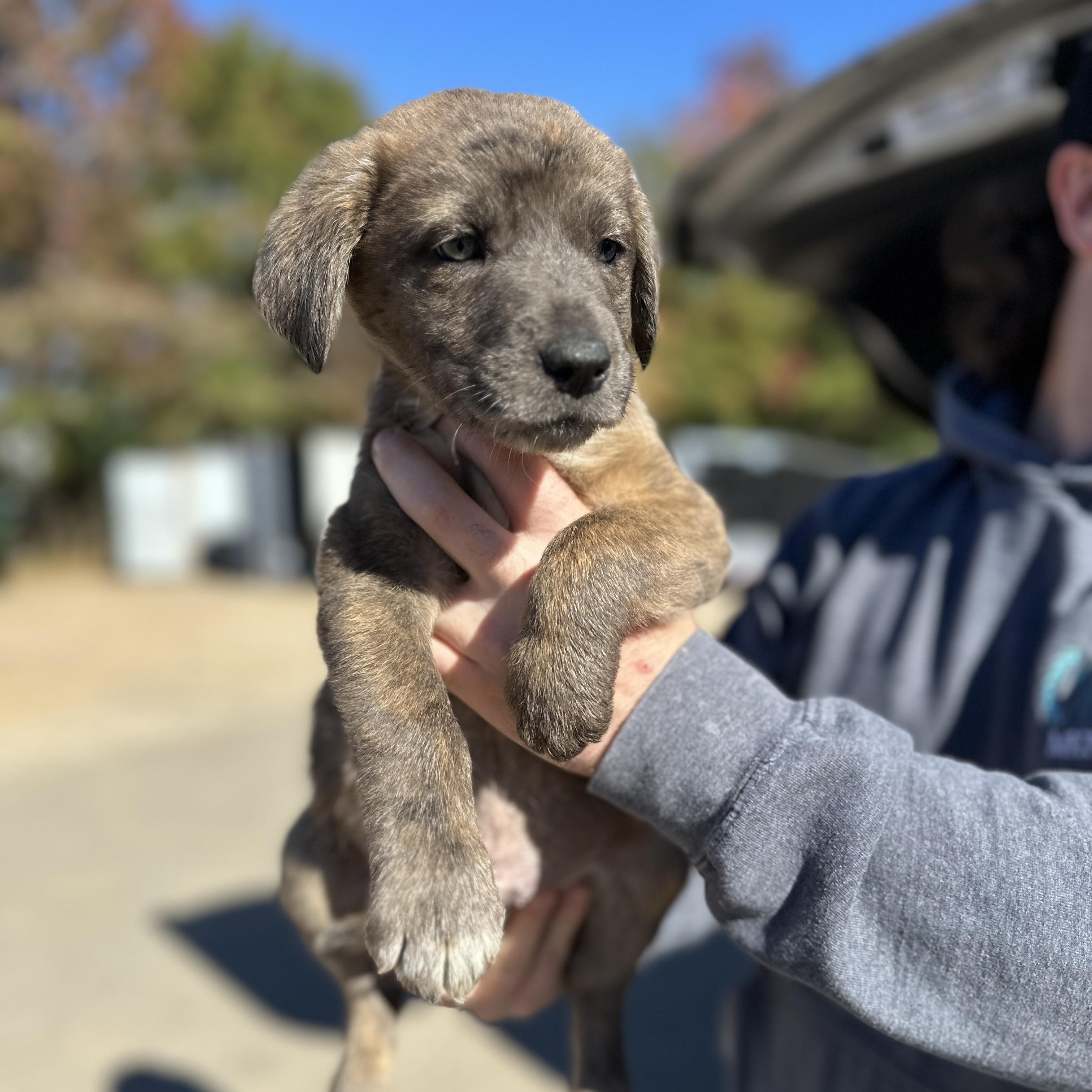 Eat a Whole Bunch of Stuff