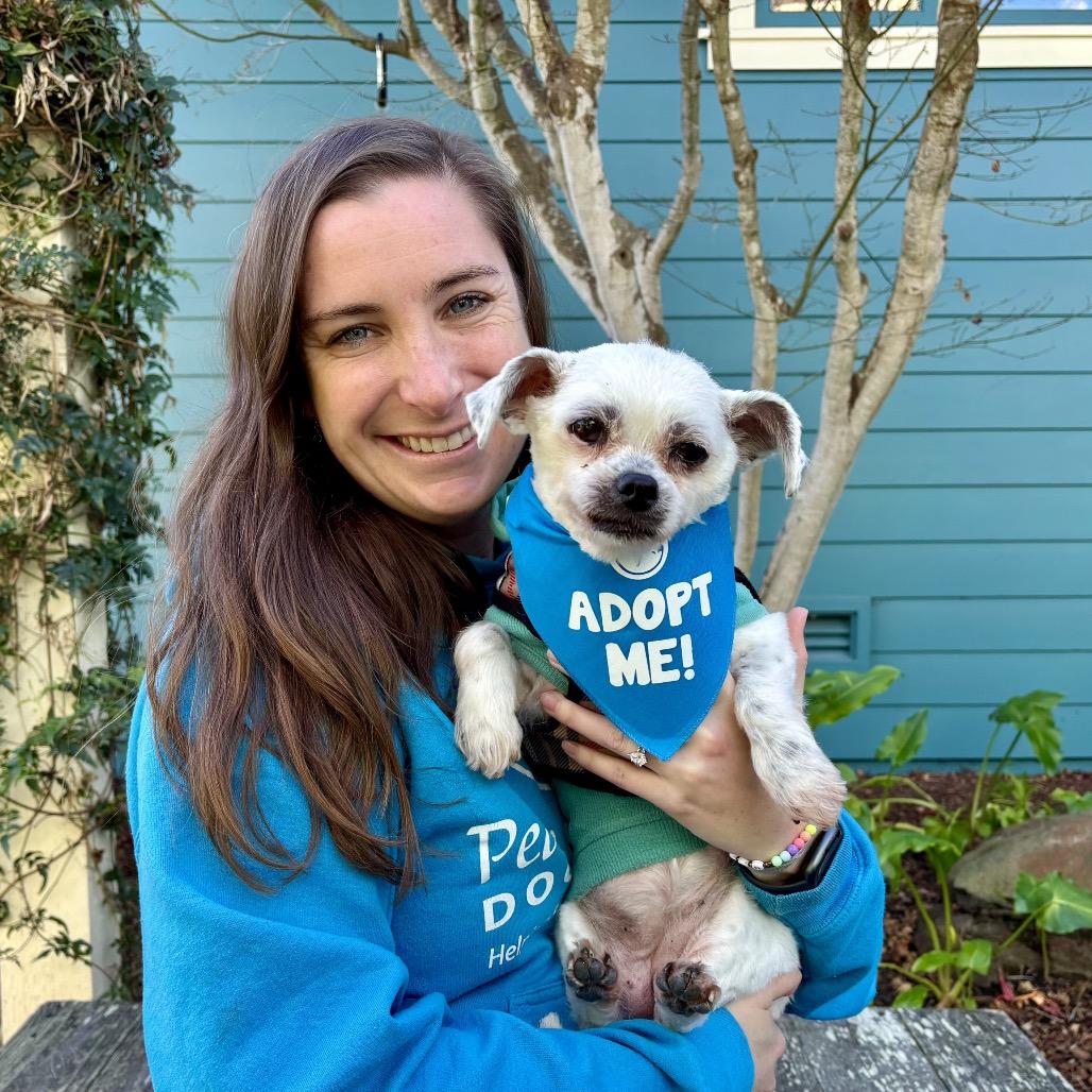 Dottie — thumbnail 3