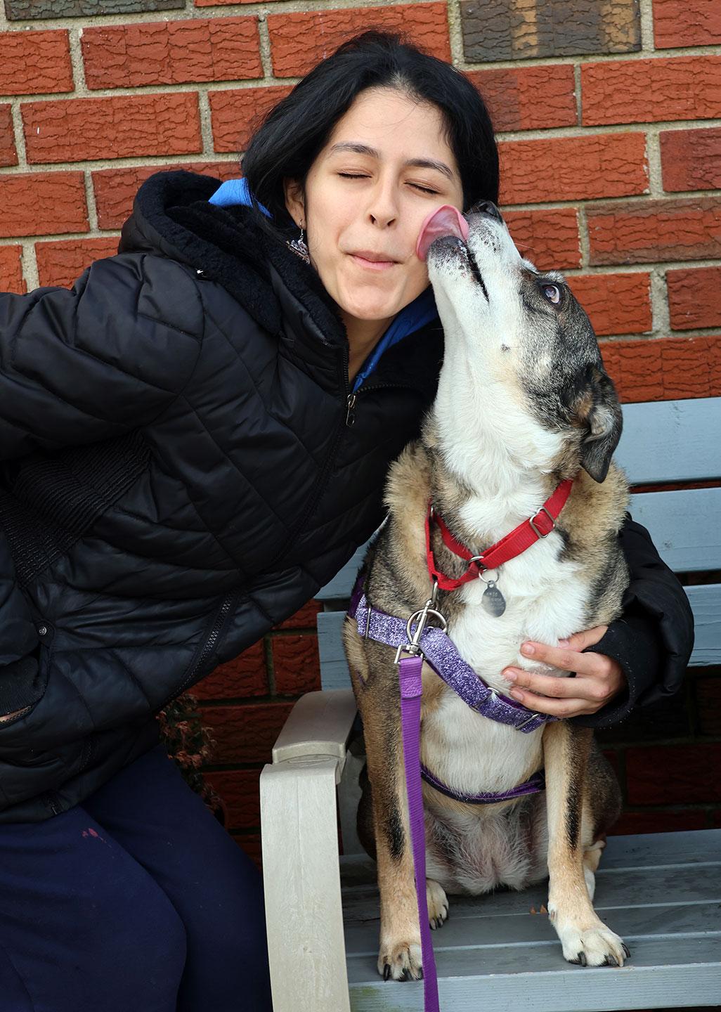 Coco, a ADOPTABLE mixed breed in Harrison, NY image 3/6