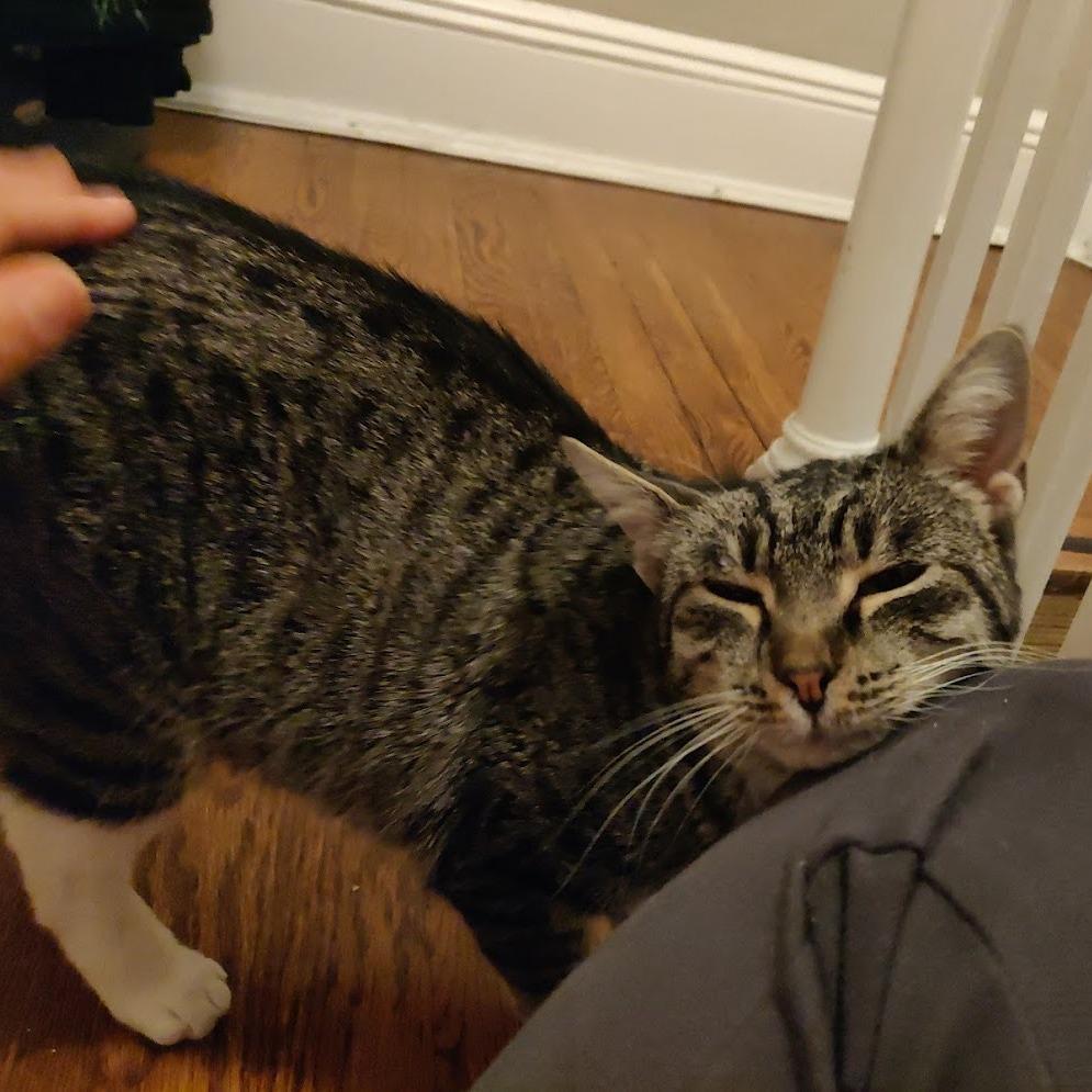 Widget — thumbnail 3