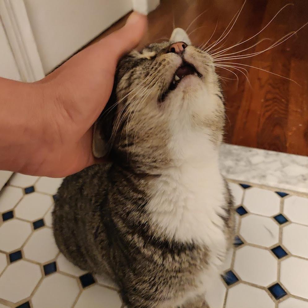 Widget — thumbnail 4