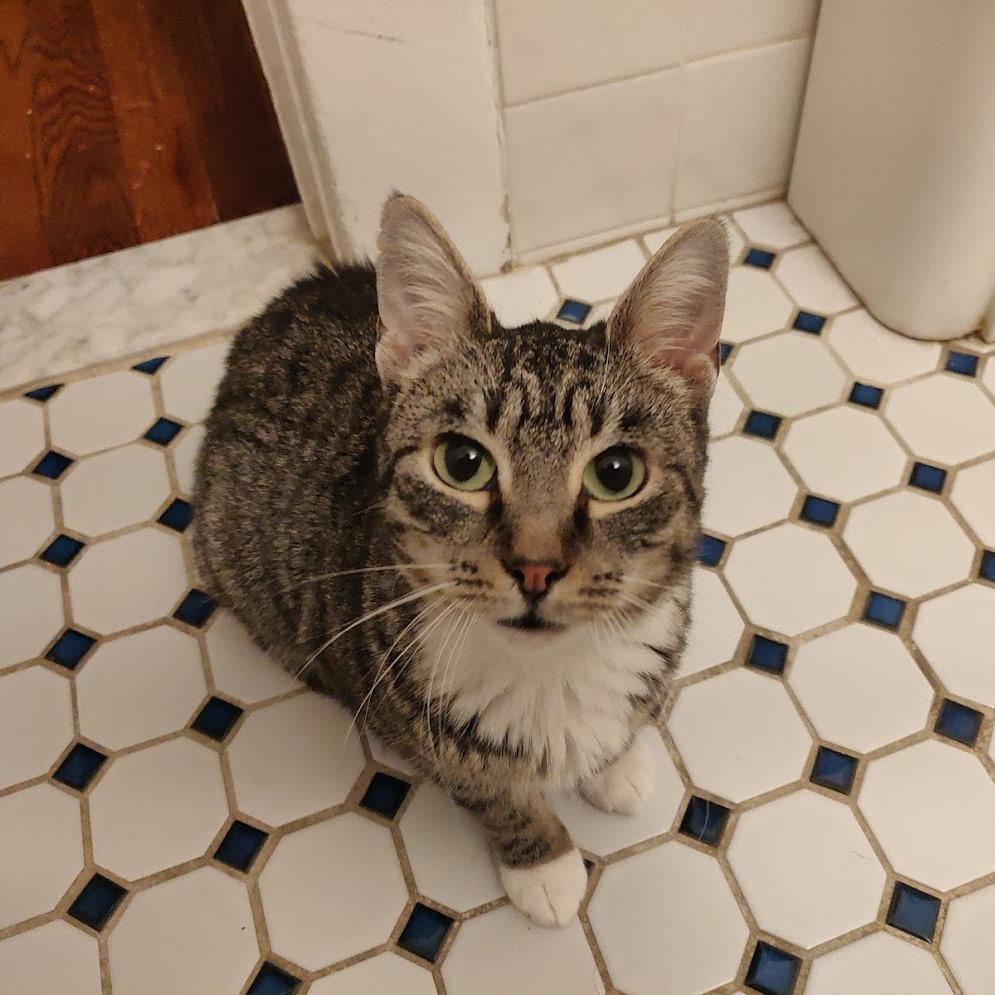 Widget — thumbnail 5