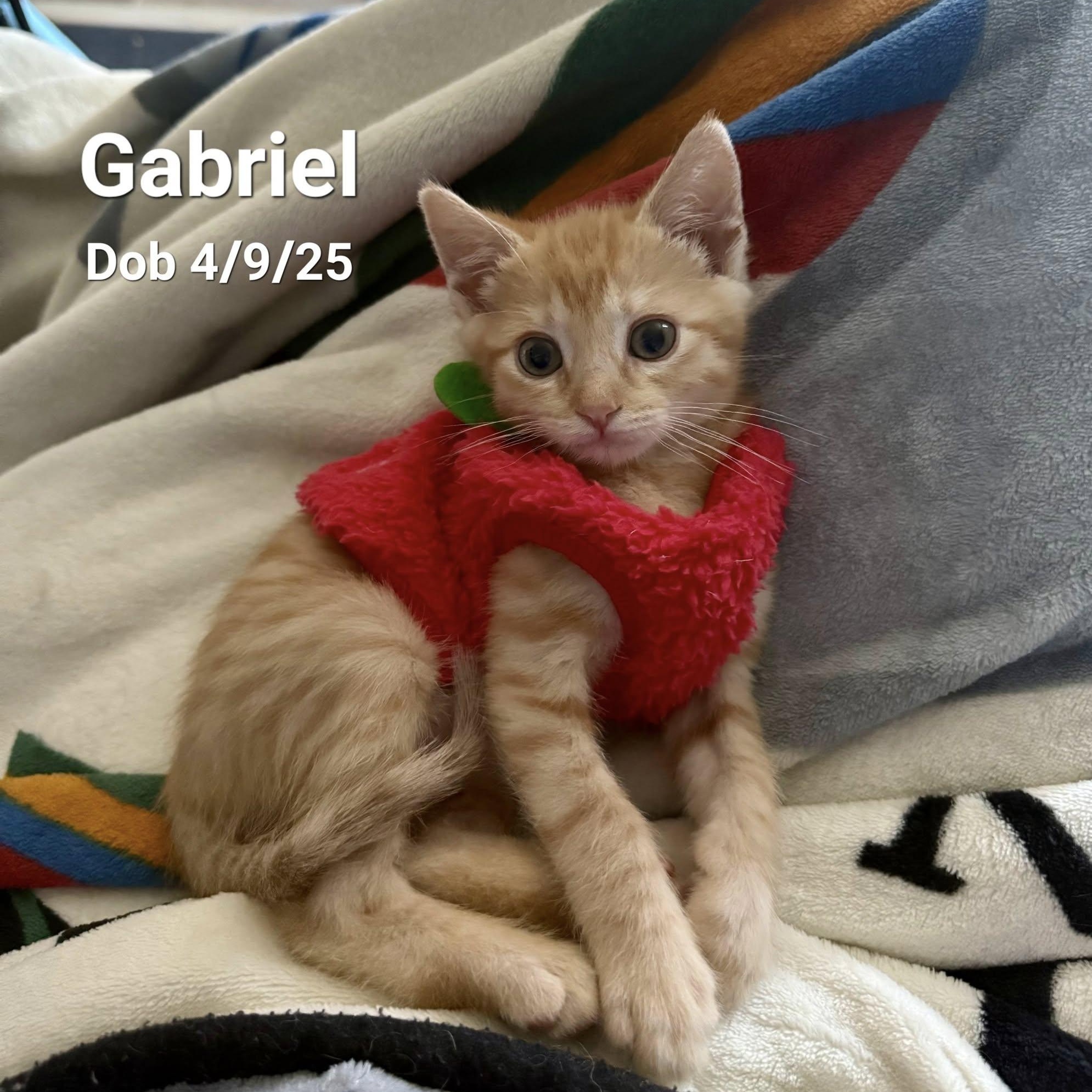 Gabriel