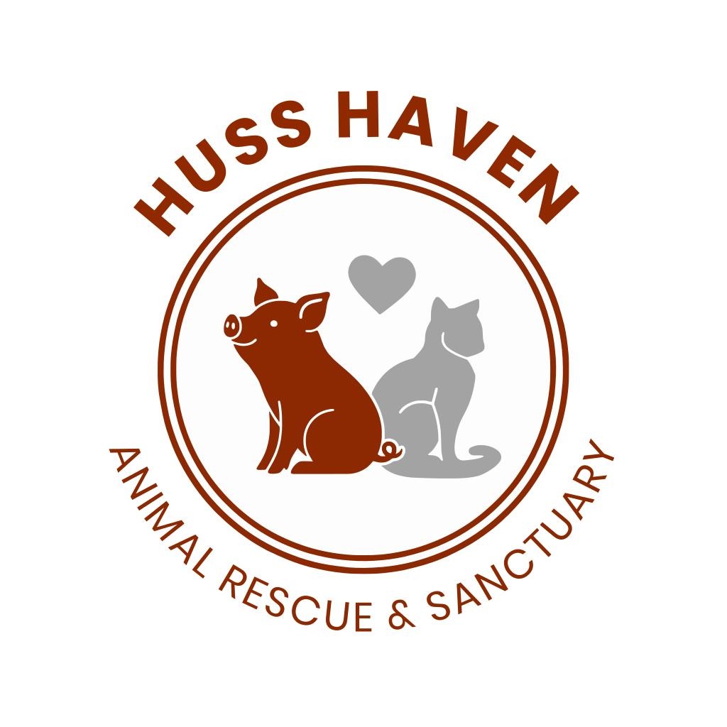 Enlarge Adoptable Pets Coming Soon!, a ADOPTABLE Tuxedo in Wilton, CA image 1/1