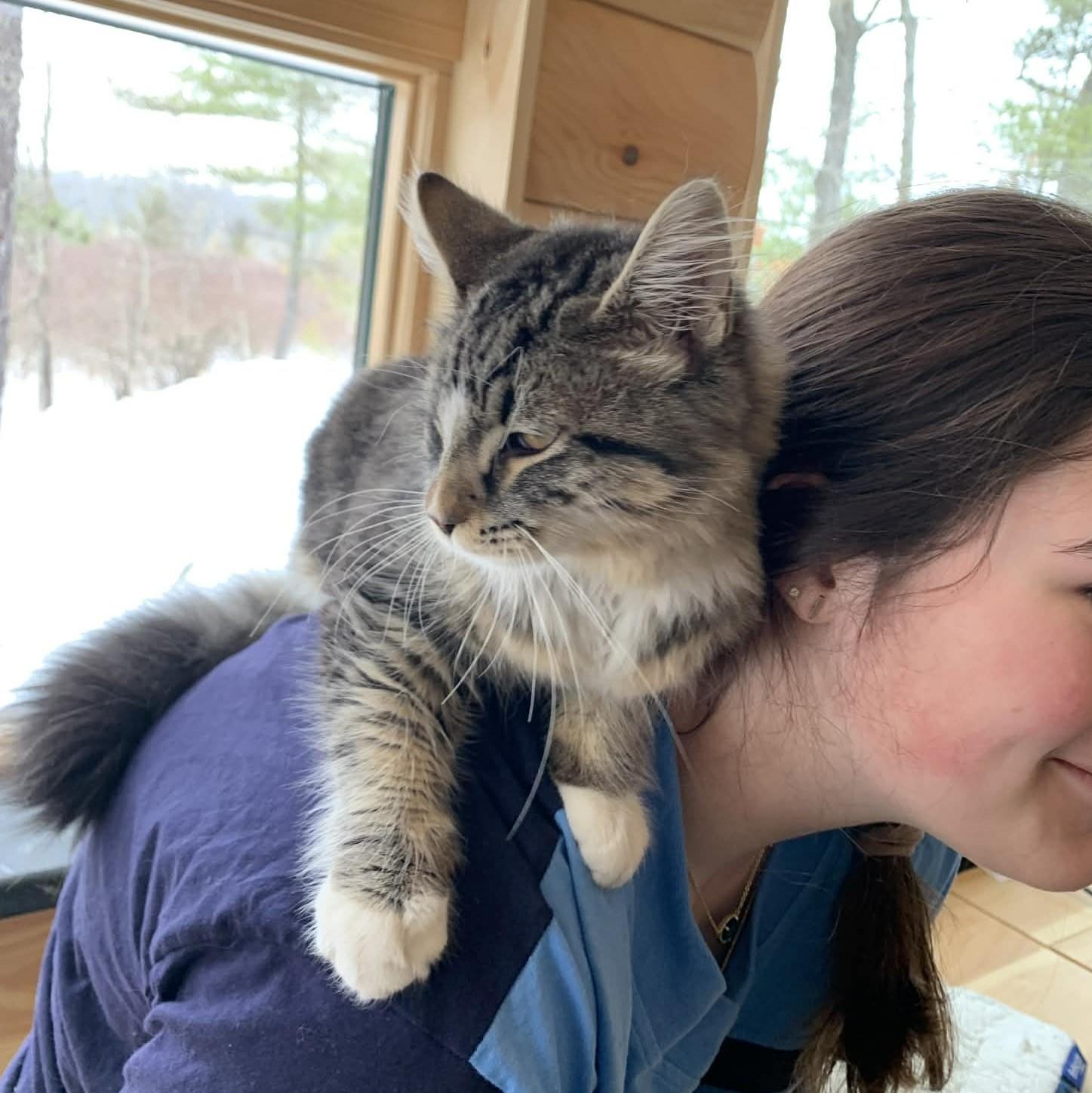 Enlarge Leonardo, an adopted mixed breed in Hawley, PA image 2/6