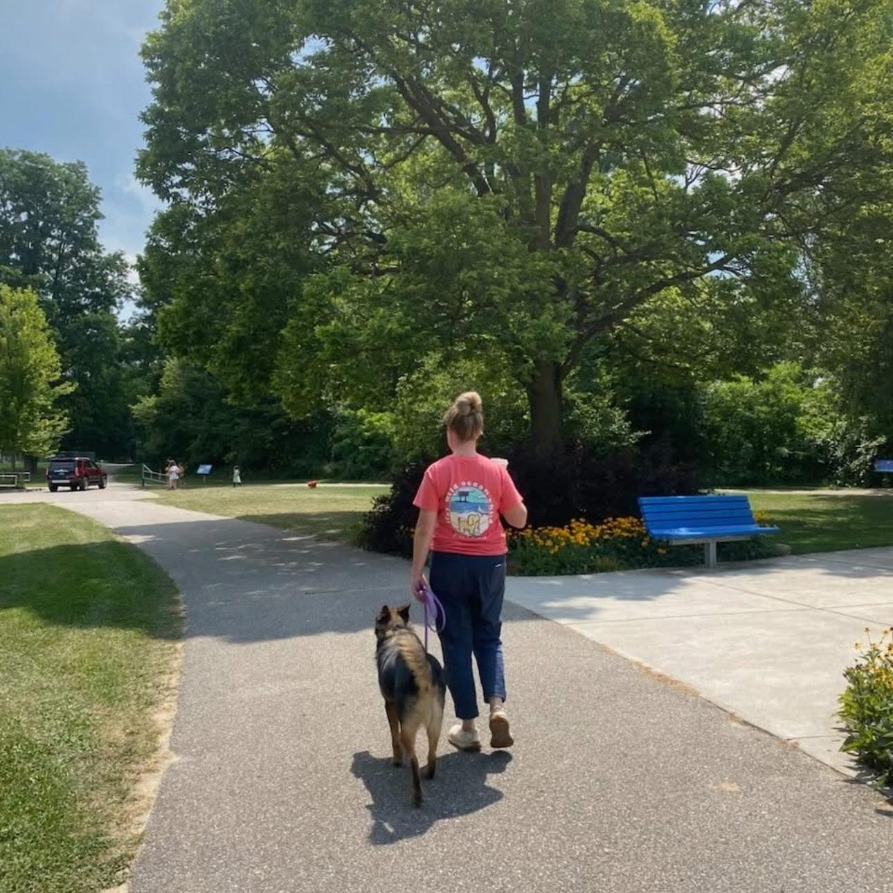 Summit, a Adoptable Mixed Breed in Mount Pleasant, MI image 4/5