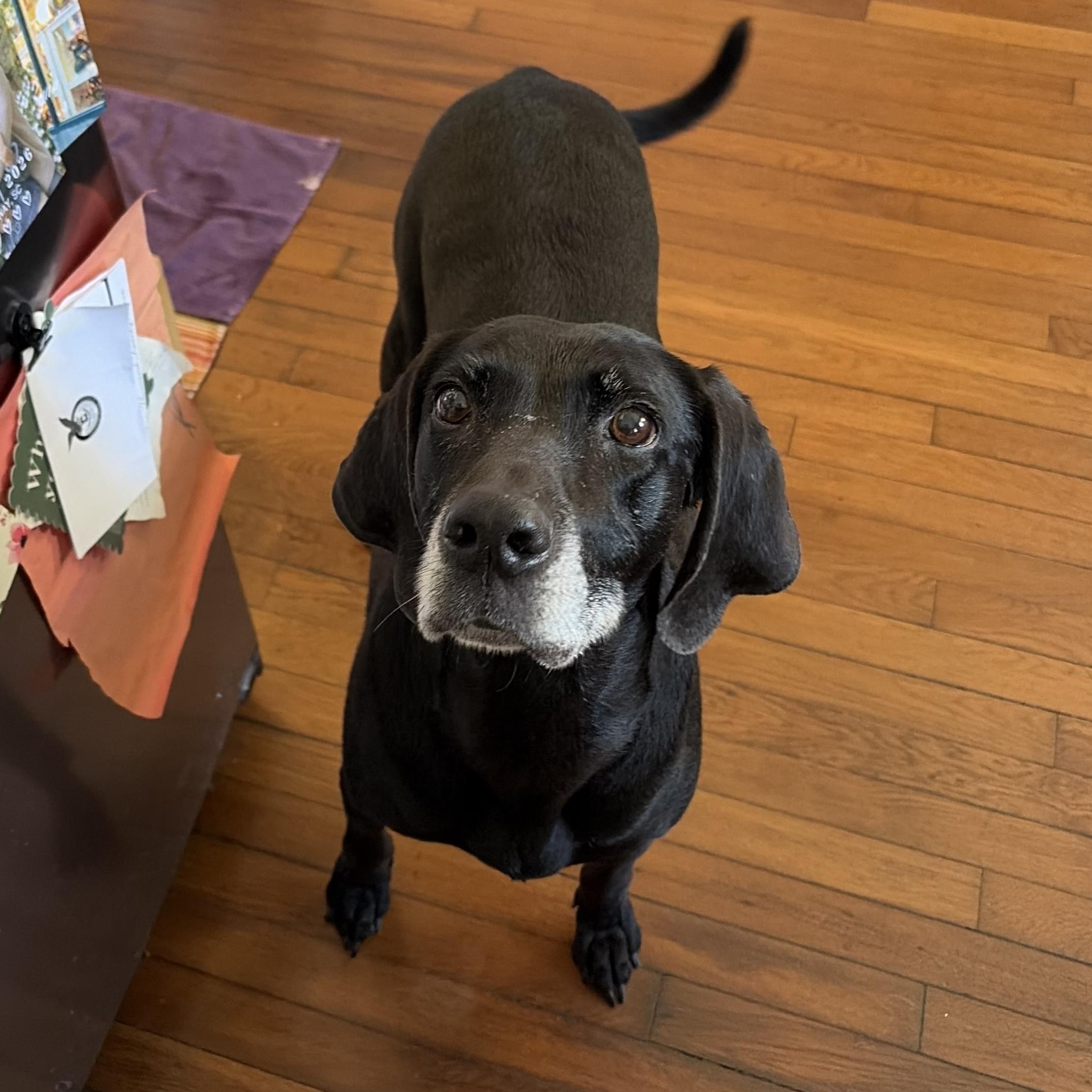 Danica — thumbnail 6