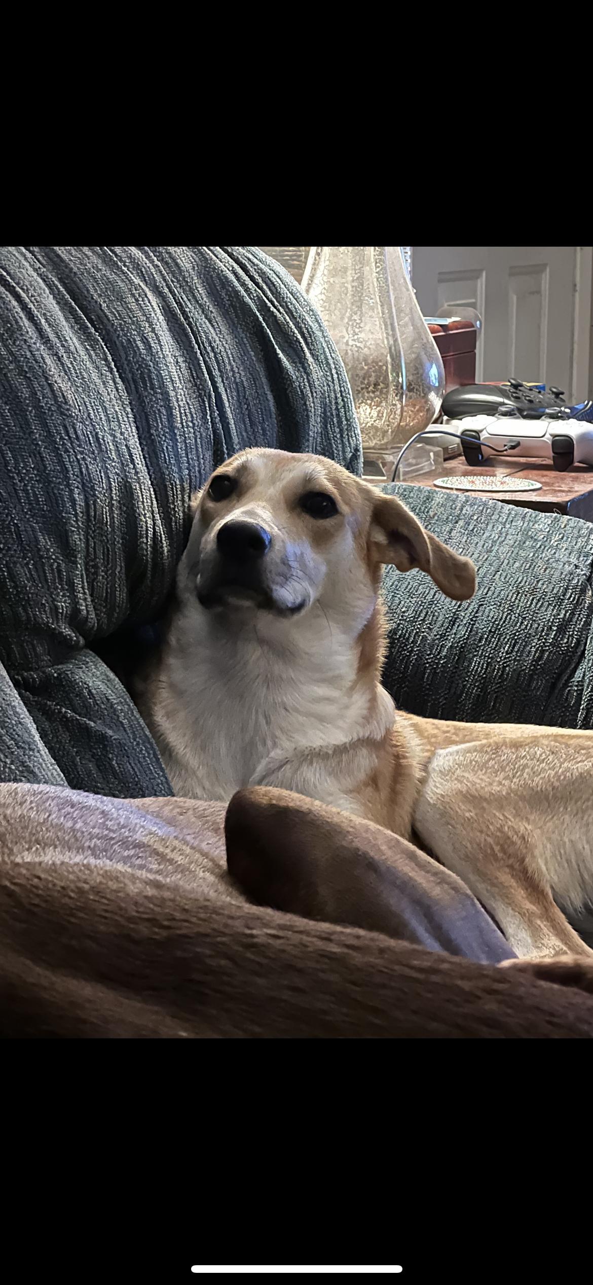 Buffy