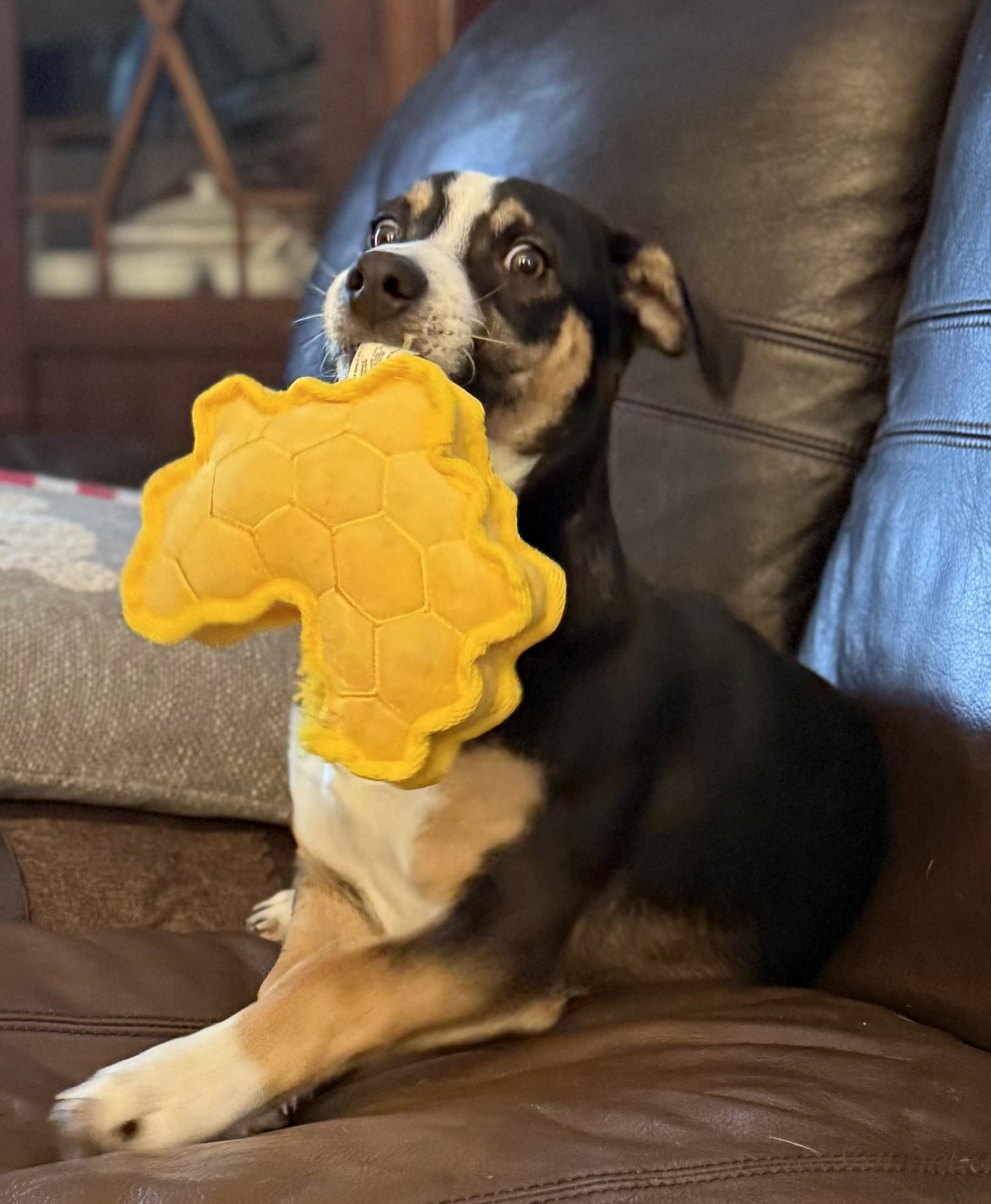 Bon Jovi thumbnail 3