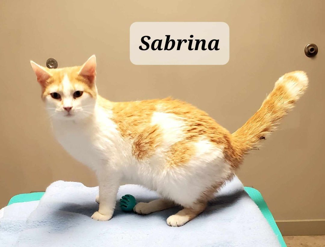 Sabrina photo 3