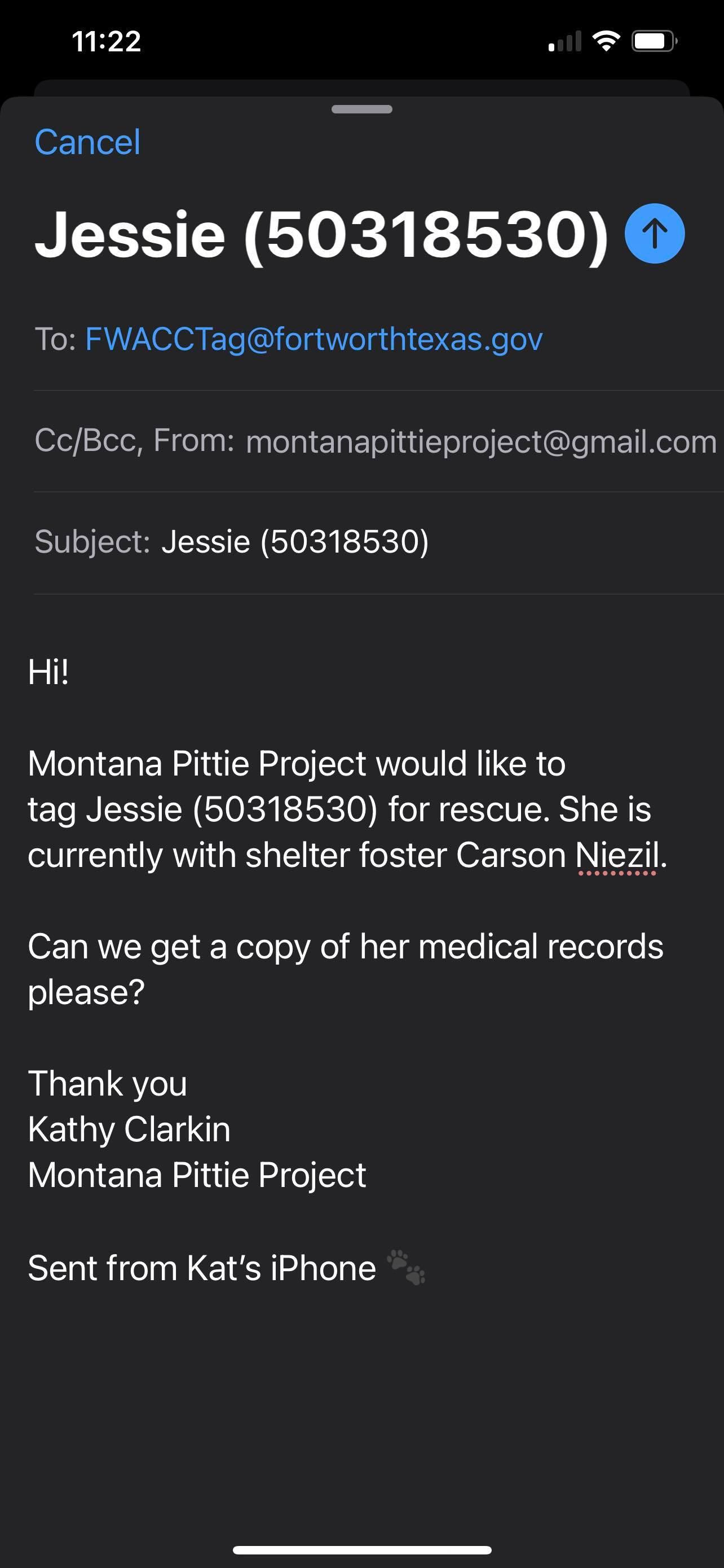 Enlarge Jessie, a Adopted mixed breed in Arlee, MT image 5/6