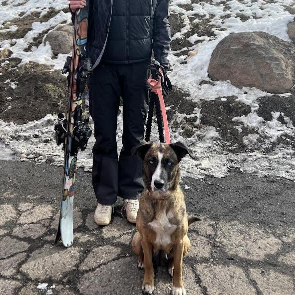 Enlarge Astoria- In Foster!, a Adoptable Mixed Breed in Flagstaff, AZ image 5/6