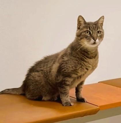 Hannah — thumbnail 2