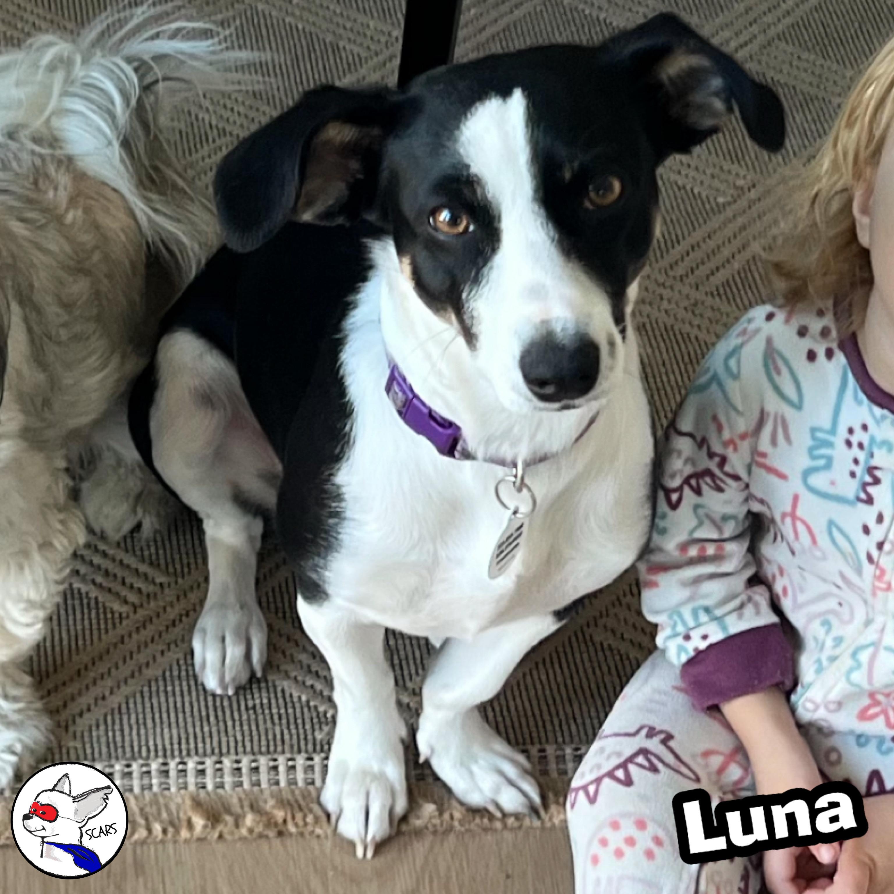Luna