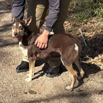 Cassie — thumbnail 3