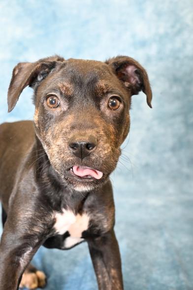 Folly — thumbnail 2