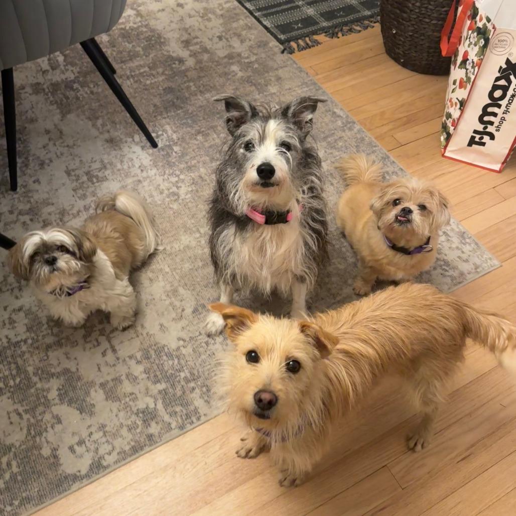 Trinket — thumbnail 4