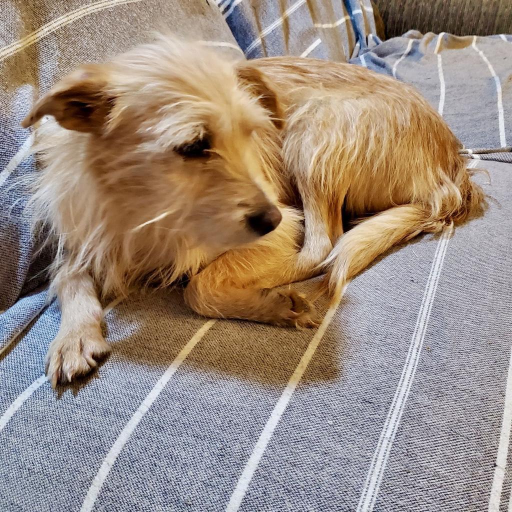 Trinket — thumbnail 6