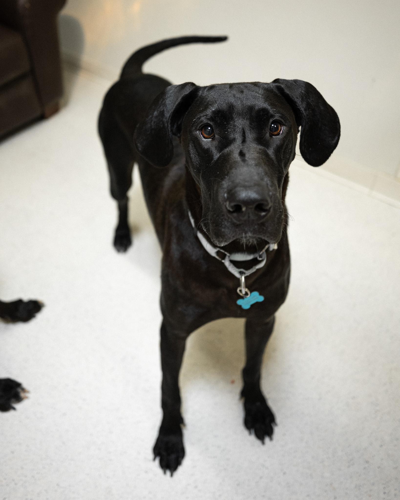 Max