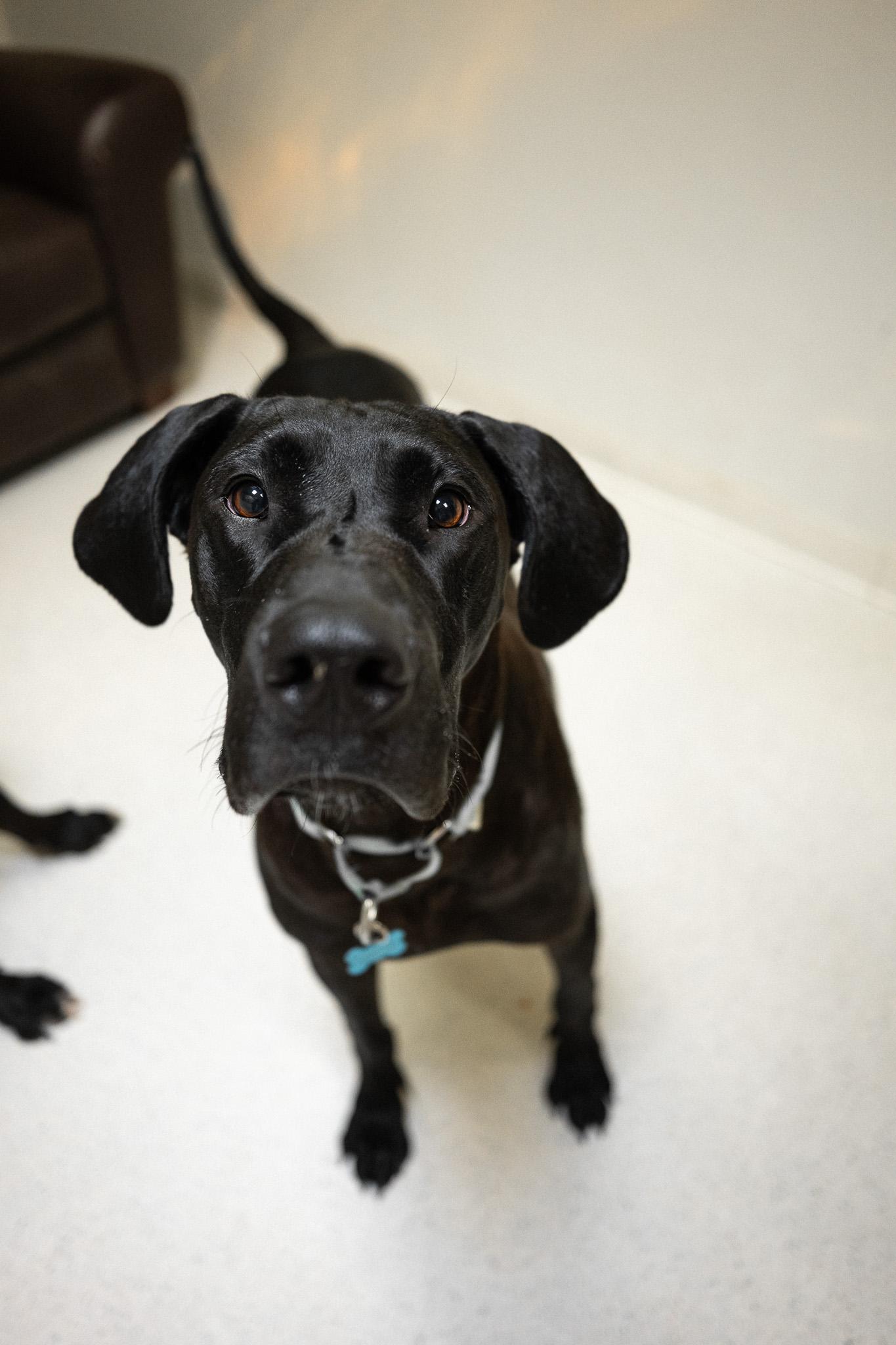 Max
