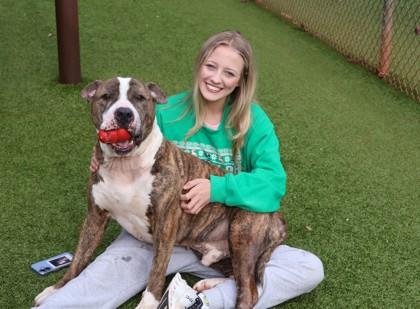 Pablo, a Adoptable Mixed Breed in Athens, GA image 6/6