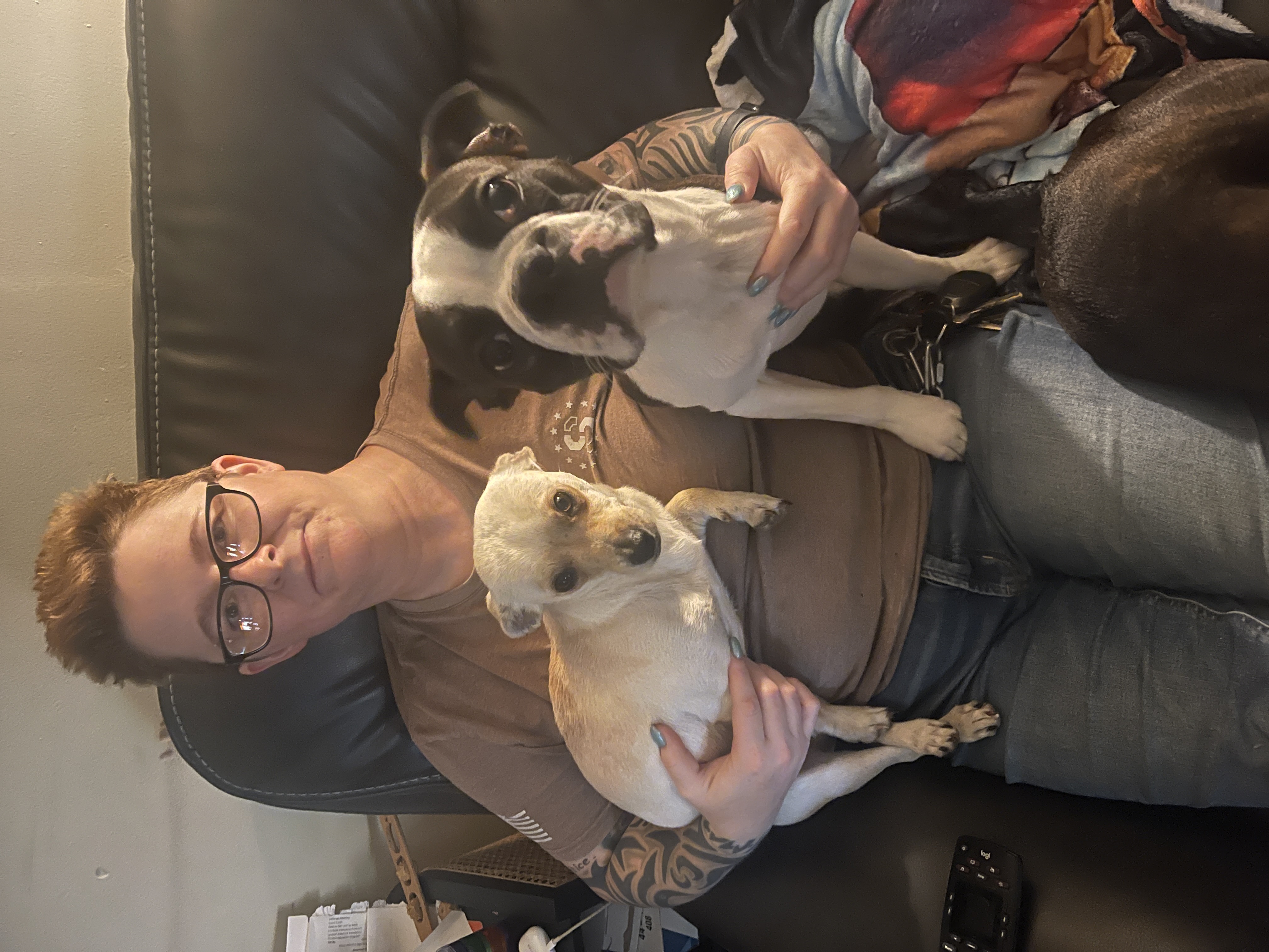 Enlarge Neville, a Adopted mixed breed in Erin, TN image 5/5