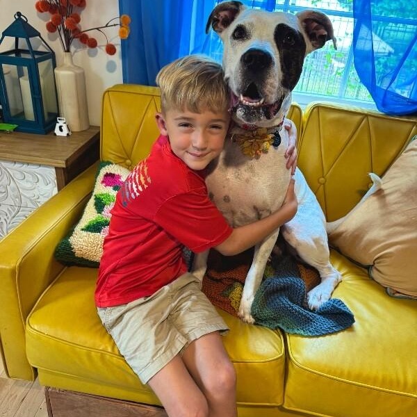 Lizzie angel on earth! — thumbnail 2