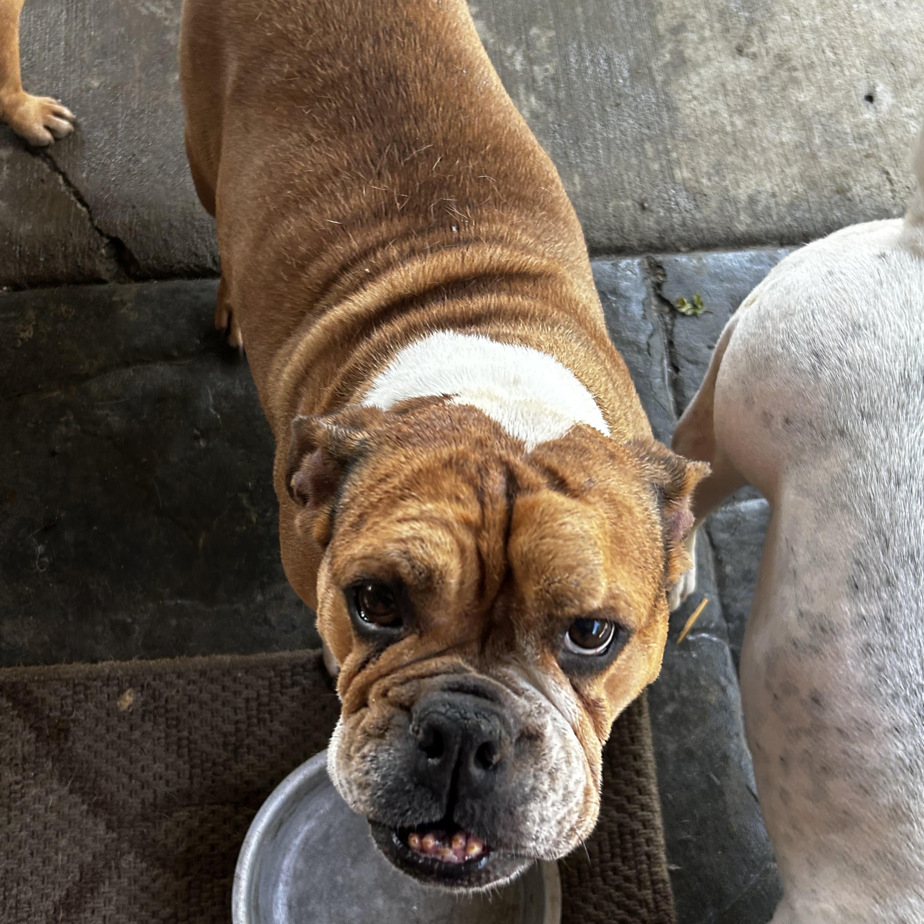 Madam Wrinkles photo 2