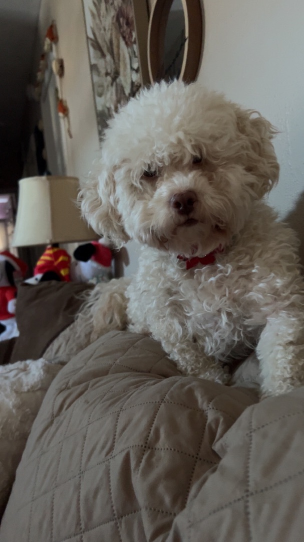 Tootsie fka Muffy