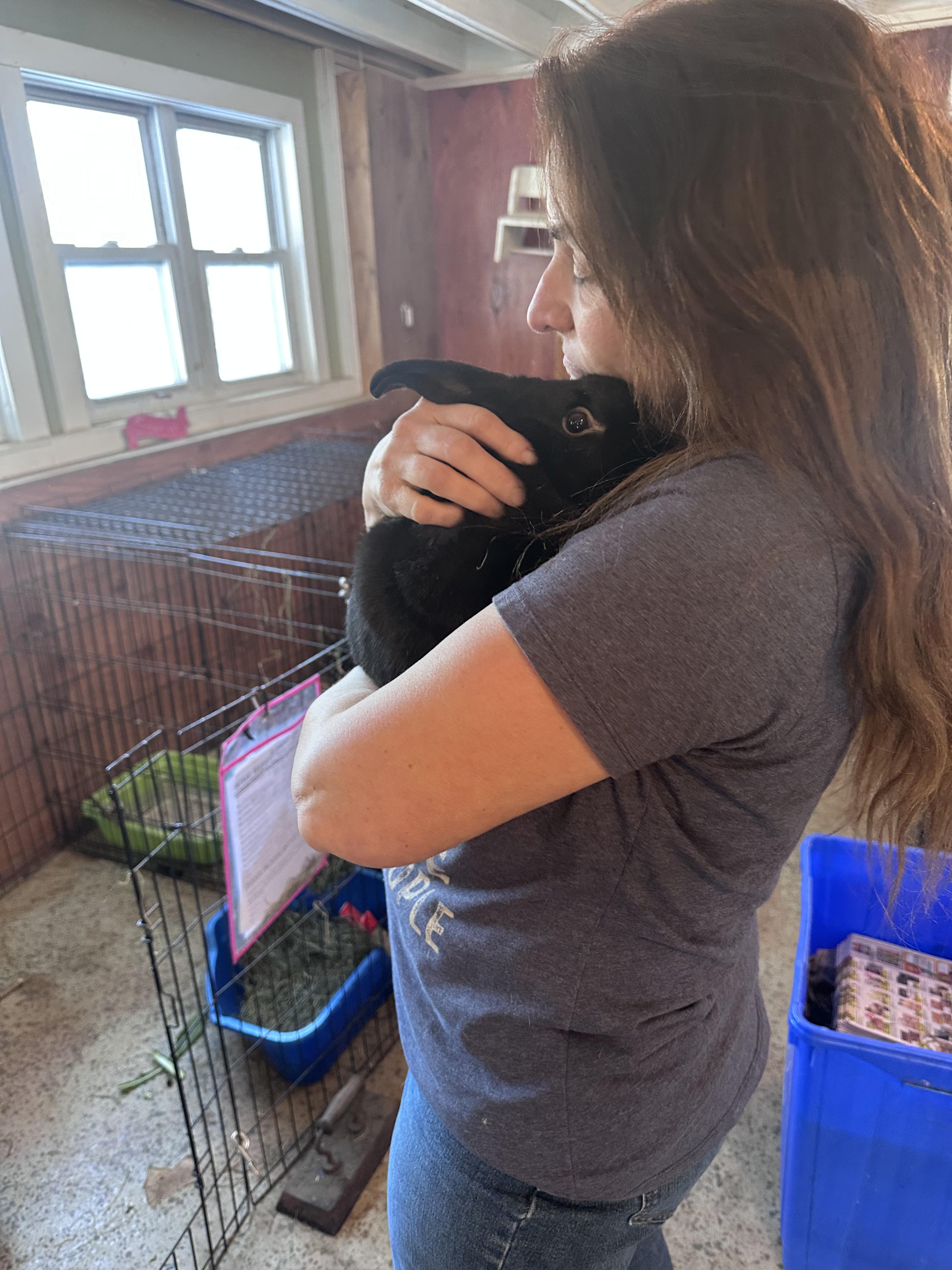 Siren, a ADOPTABLE Bunny Rabbit in Salisbury Mills, NY image 2/4