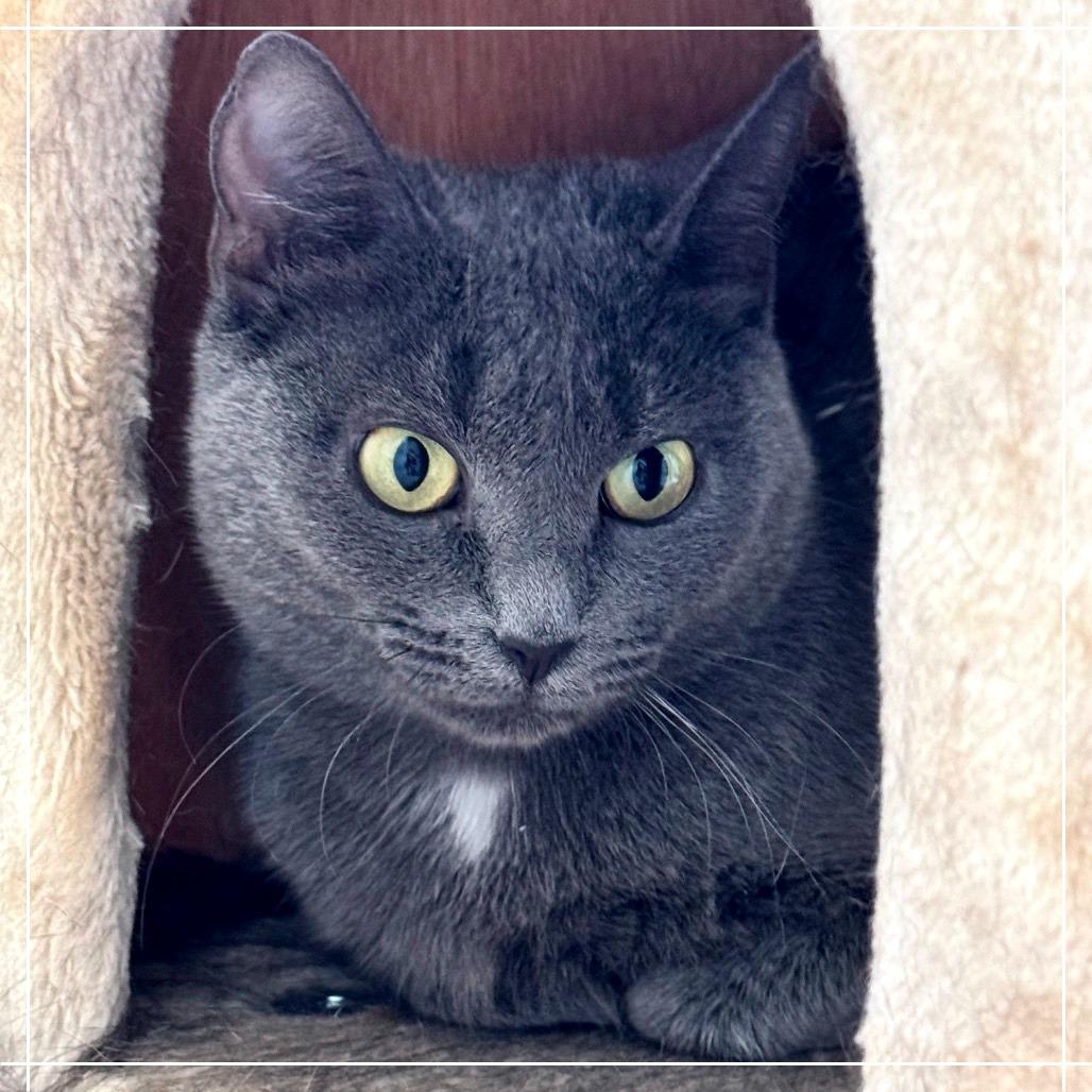 Clementine — thumbnail 2