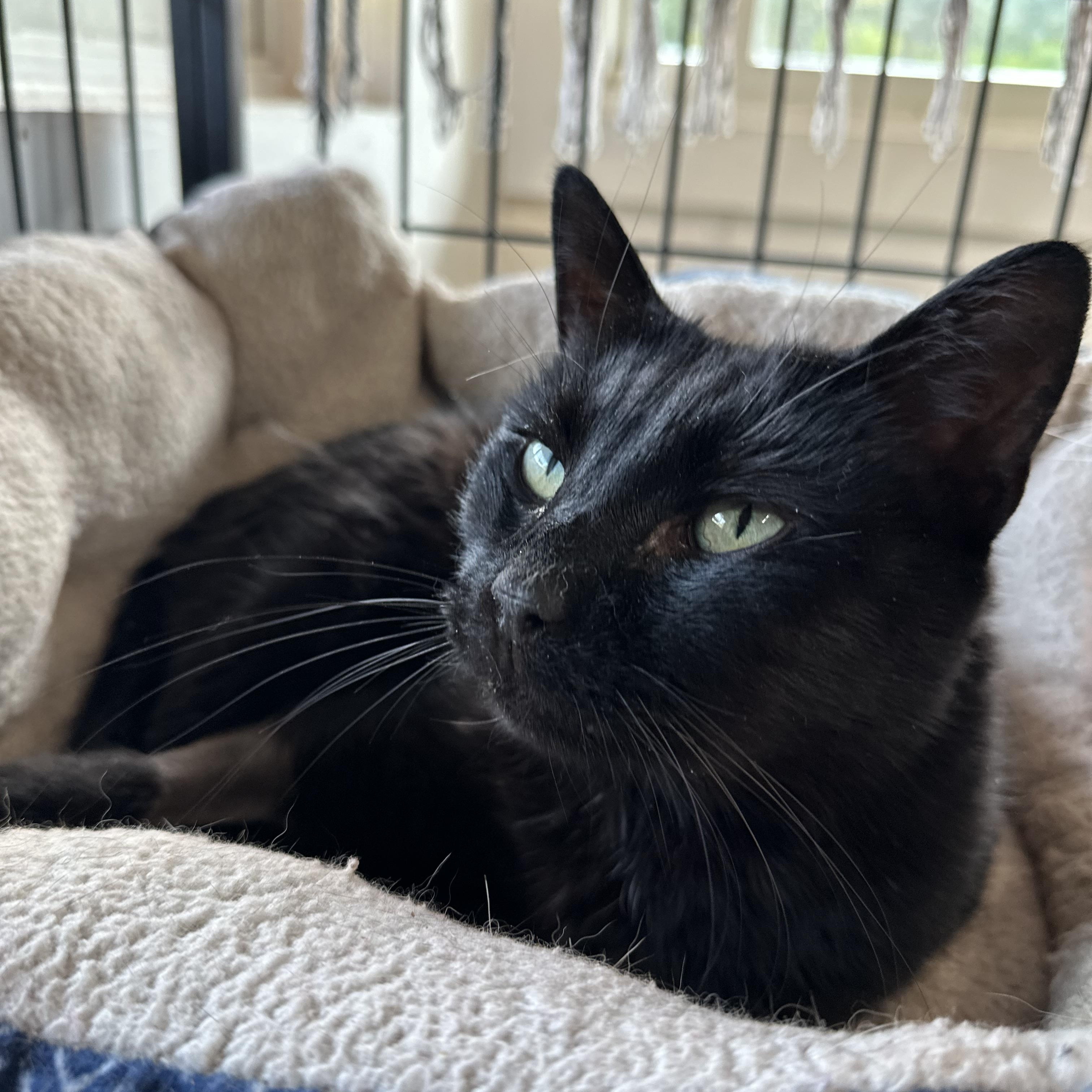 Binx