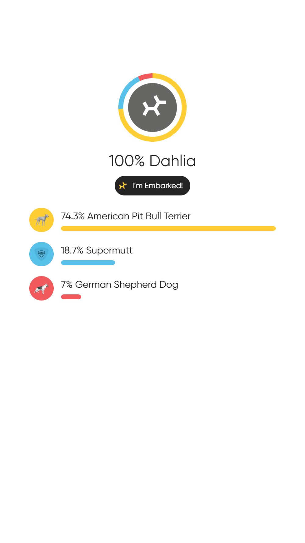 Enlarge Dahlia, a Adoptable mixed breed in Burlingame, CA image 1/3
