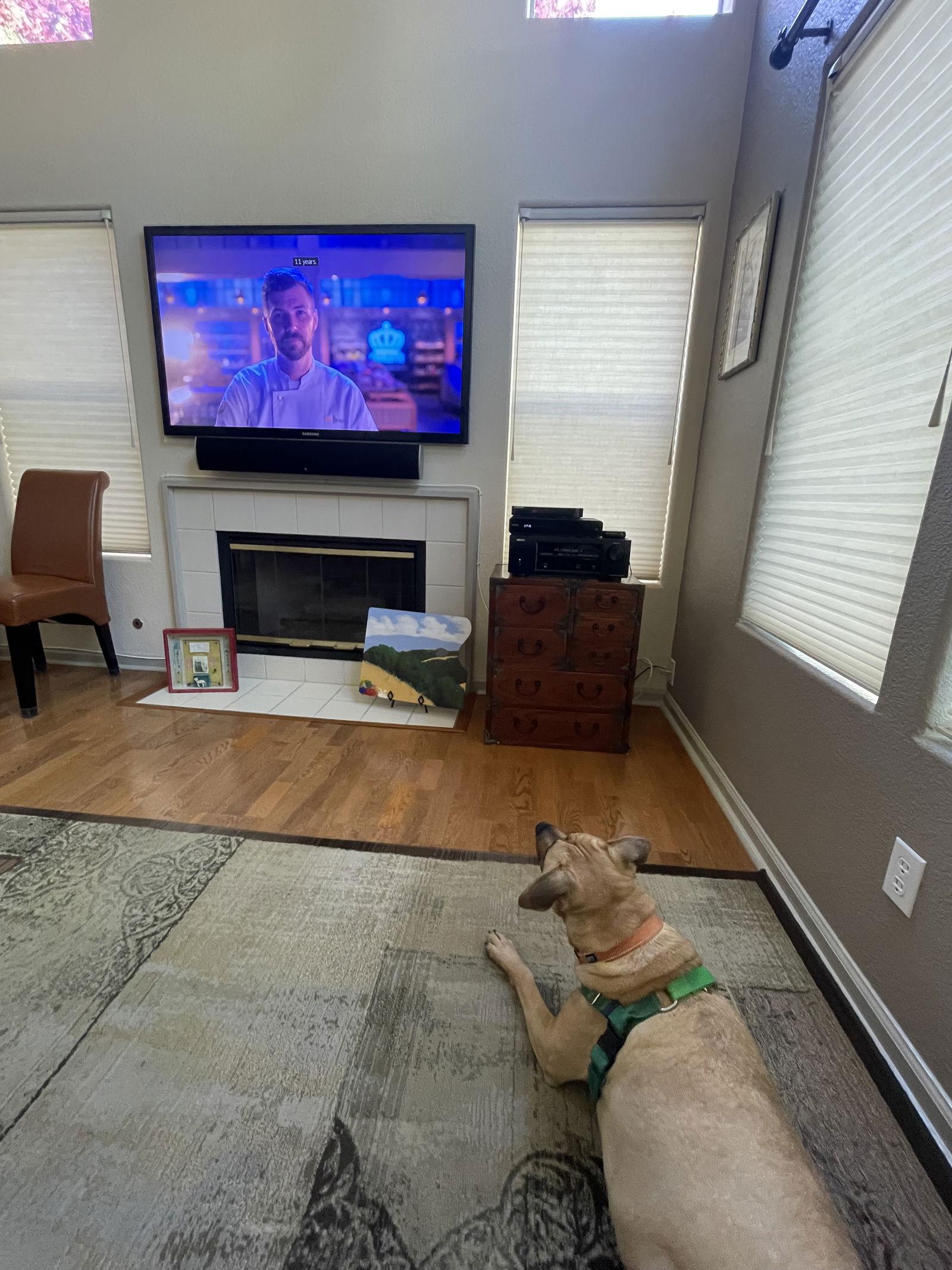 Enlarge Dahlia, a Adoptable mixed breed in Burlingame, CA image 2/3