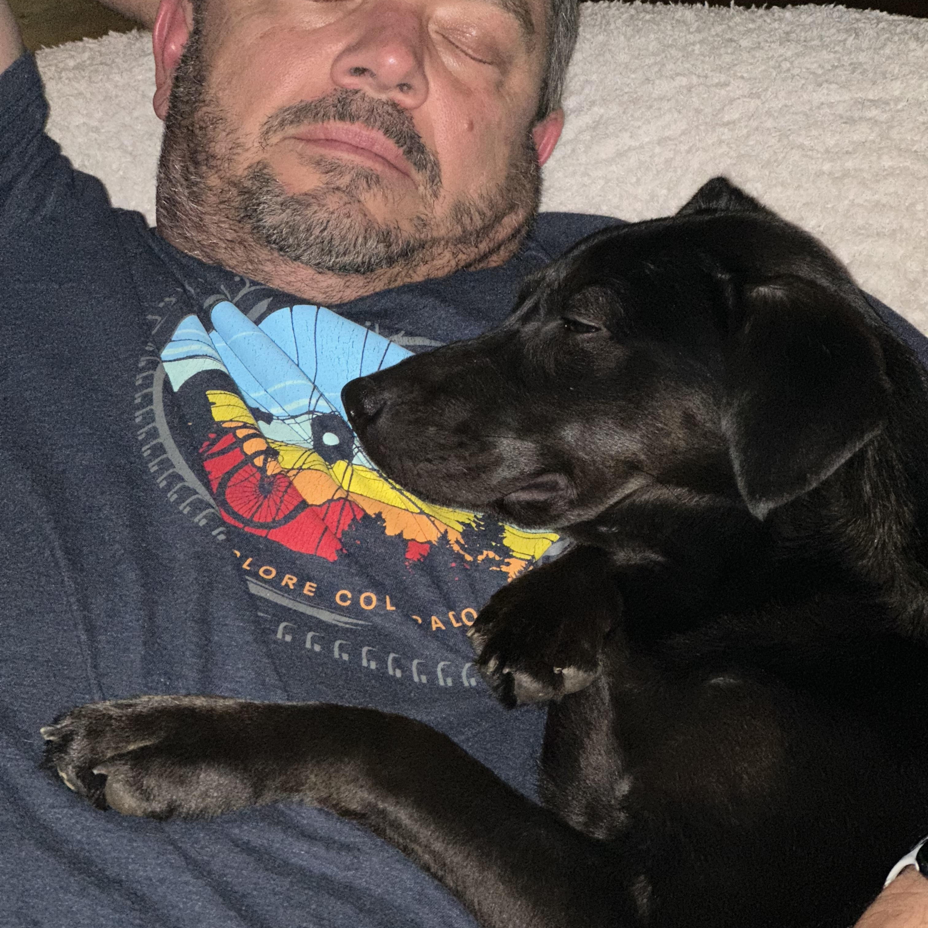 CINDER…38 lbs of PERFECTION!!!, a Adoptable mixed breed in Cantonment, FL image 3/4