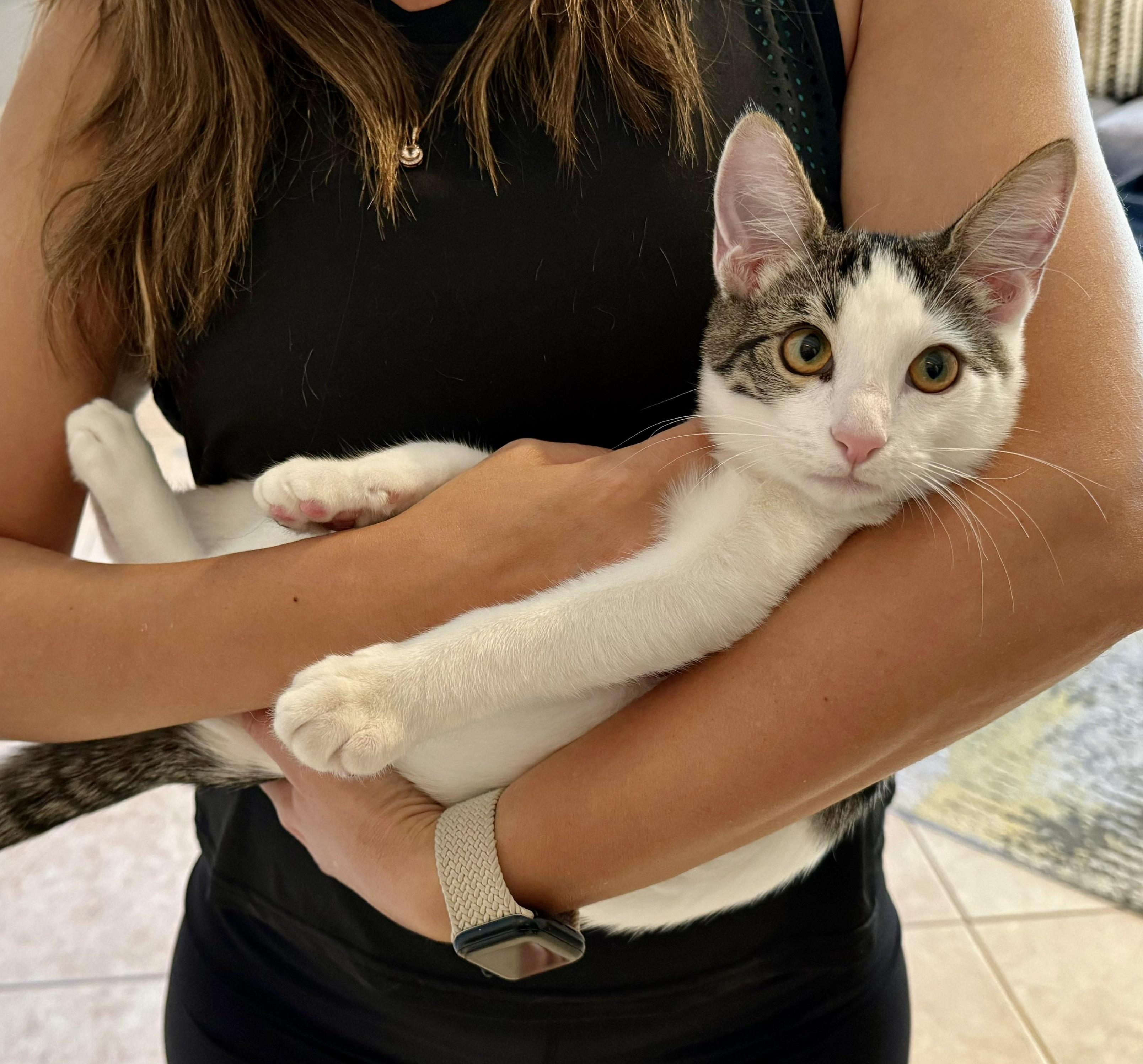 Snow #one-big-happy-litter