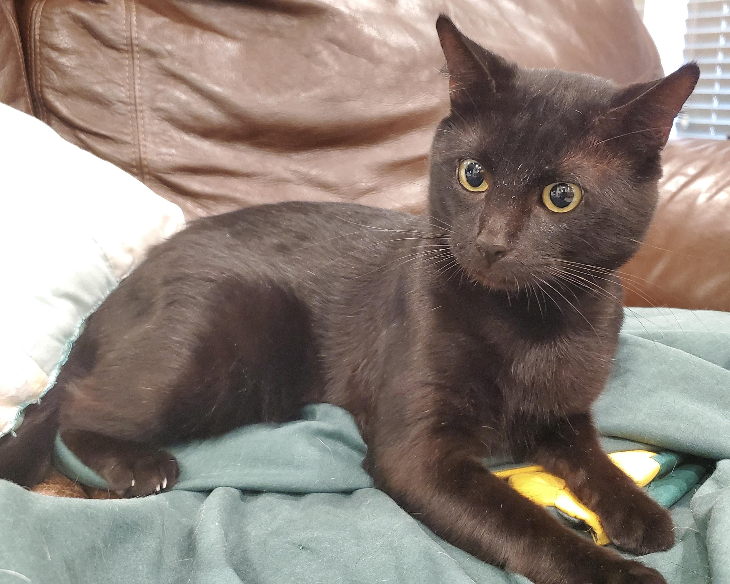 Marty - Handsome and Grateful